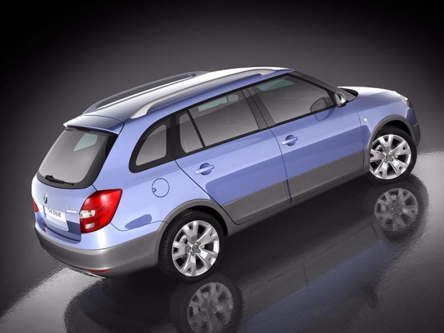  Skoda Fabia Scout 2009 года  (фото 7 из 27)